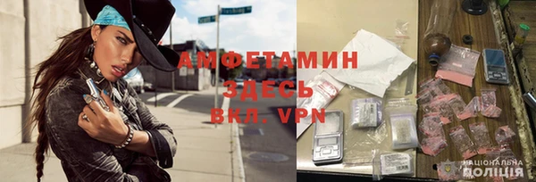 гидра Алексеевка