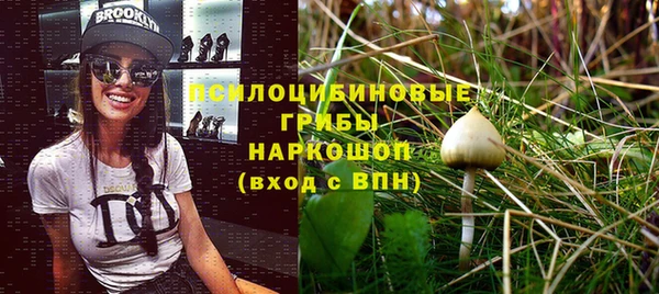 гидра Алексеевка