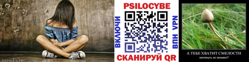 Купить закладки  Вятские Поляны  Галлюциногенные грибы Psilocybine cubensis 