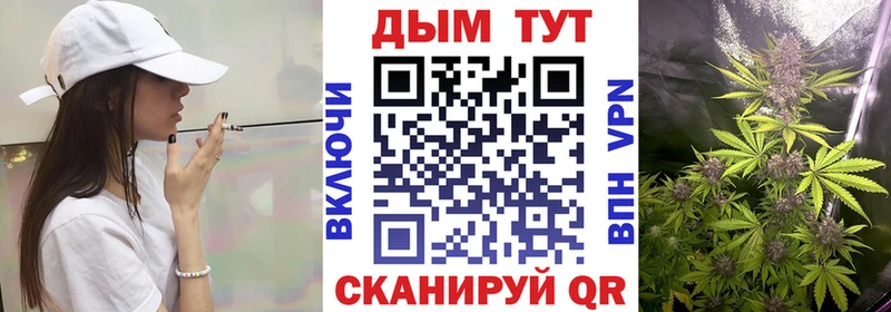 Каннабис MAZAR  Купить закладки  Вятские Поляны 